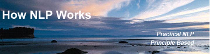 NLP Practitioner Training and Certification, Courses and Seminars, Performance Coaching